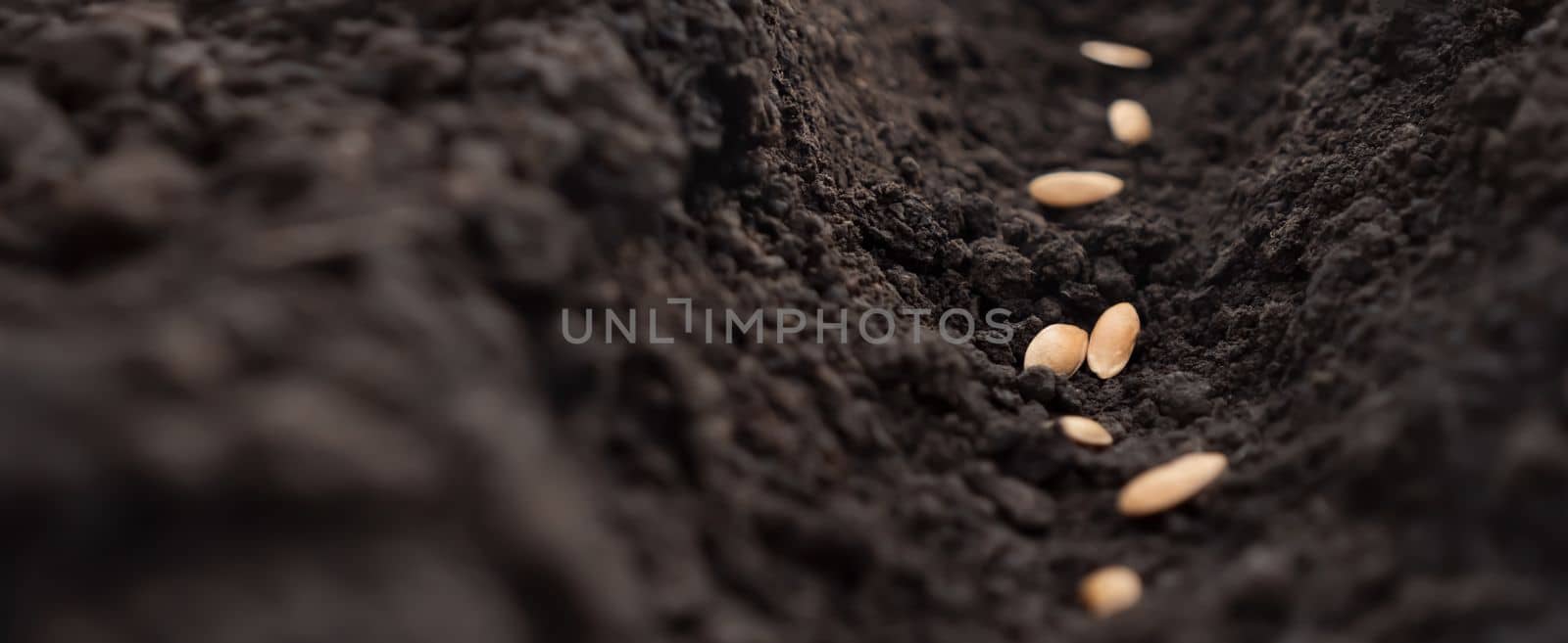 Time sowing season. Sowing seeds row. Planting seeds soil ground earth garden soil farm garden ground. Fertile soil. Seedbed. Fertile land. Agriculture planting vegetable seeding dirt. Organic banner