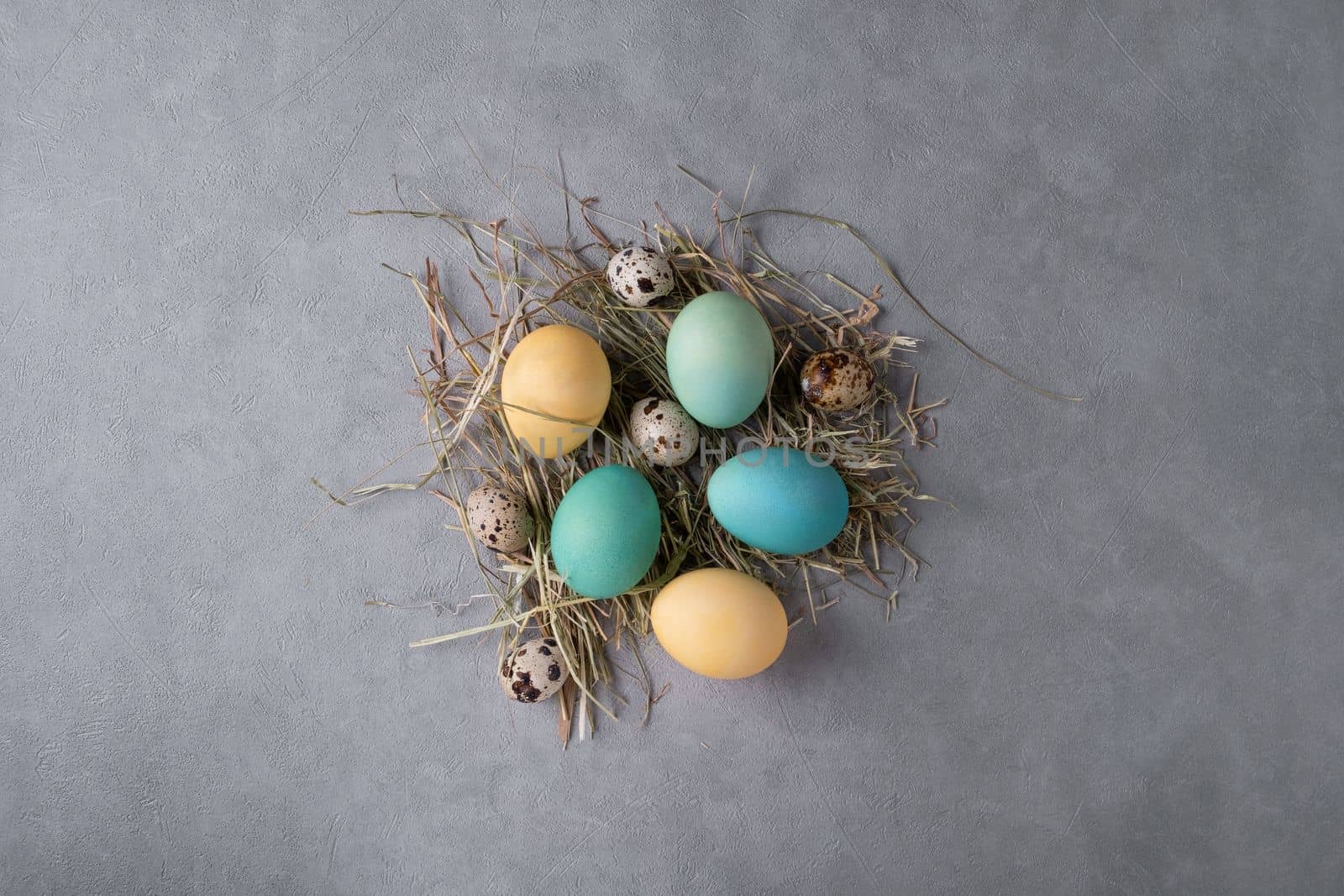 Top view of an Easter composition of a stylized bird's nest with quail and painted yellow and turquoise chicken eggs. Selective focus.