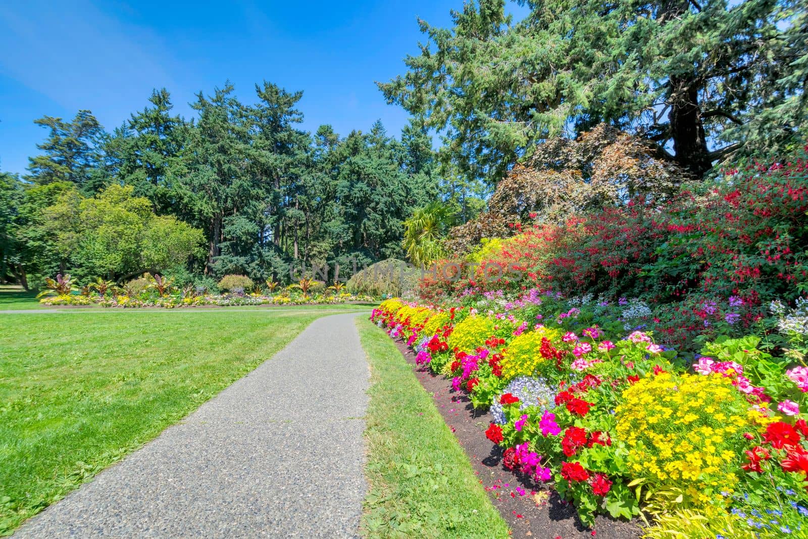 Green wide open meadow in a park with paved pathway and blossoming flowers along the way. Victoria, British Columbia