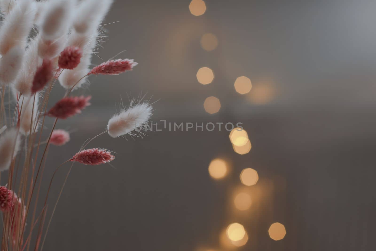 Dry flowers plant floral branch on soft pastel background. Blurred selective focus. Pattern with neutral natural colors