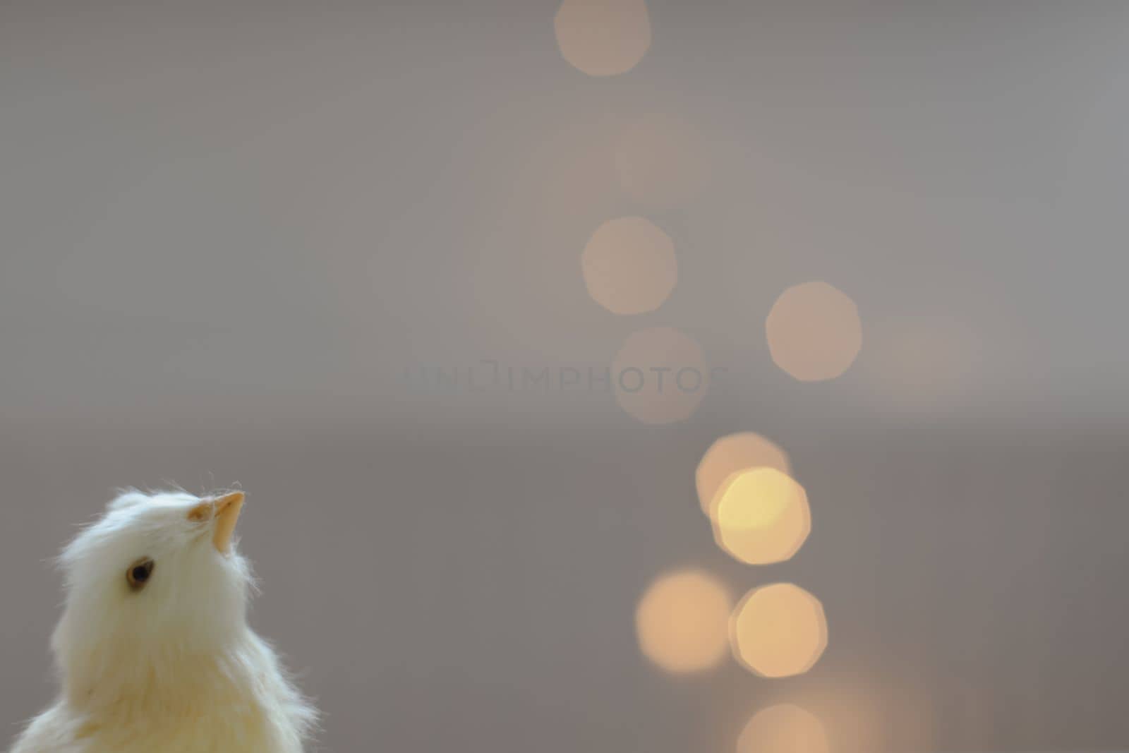 cute decorative Easter chicken on abstract blurred white background. festive composition for Easter holiday, spring season. template for design. copy space.