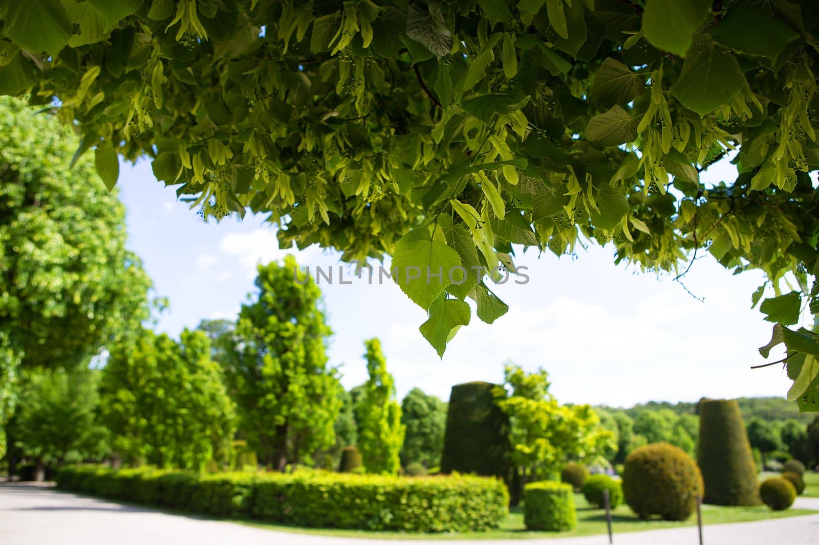 The famous Sch nbrunn Park in Vienna Austria. Travels. by sfinks