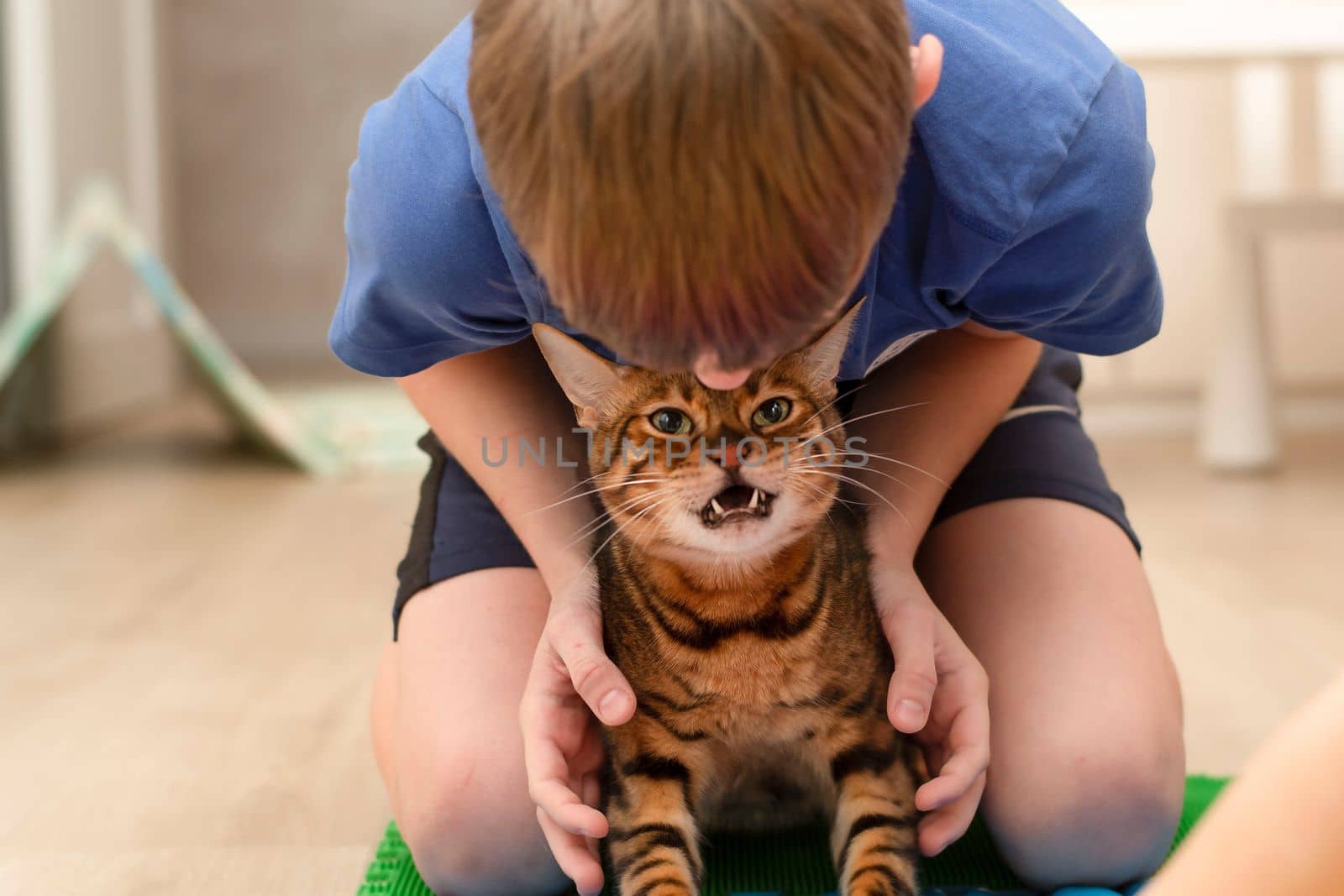 People. Health concept. A boy and a domestic red beautiful leopard bengal cat go in for sports on a massage orthopedic multi-colored rug in the home interior. Treatment of flat feet. Close-up. Physical training.