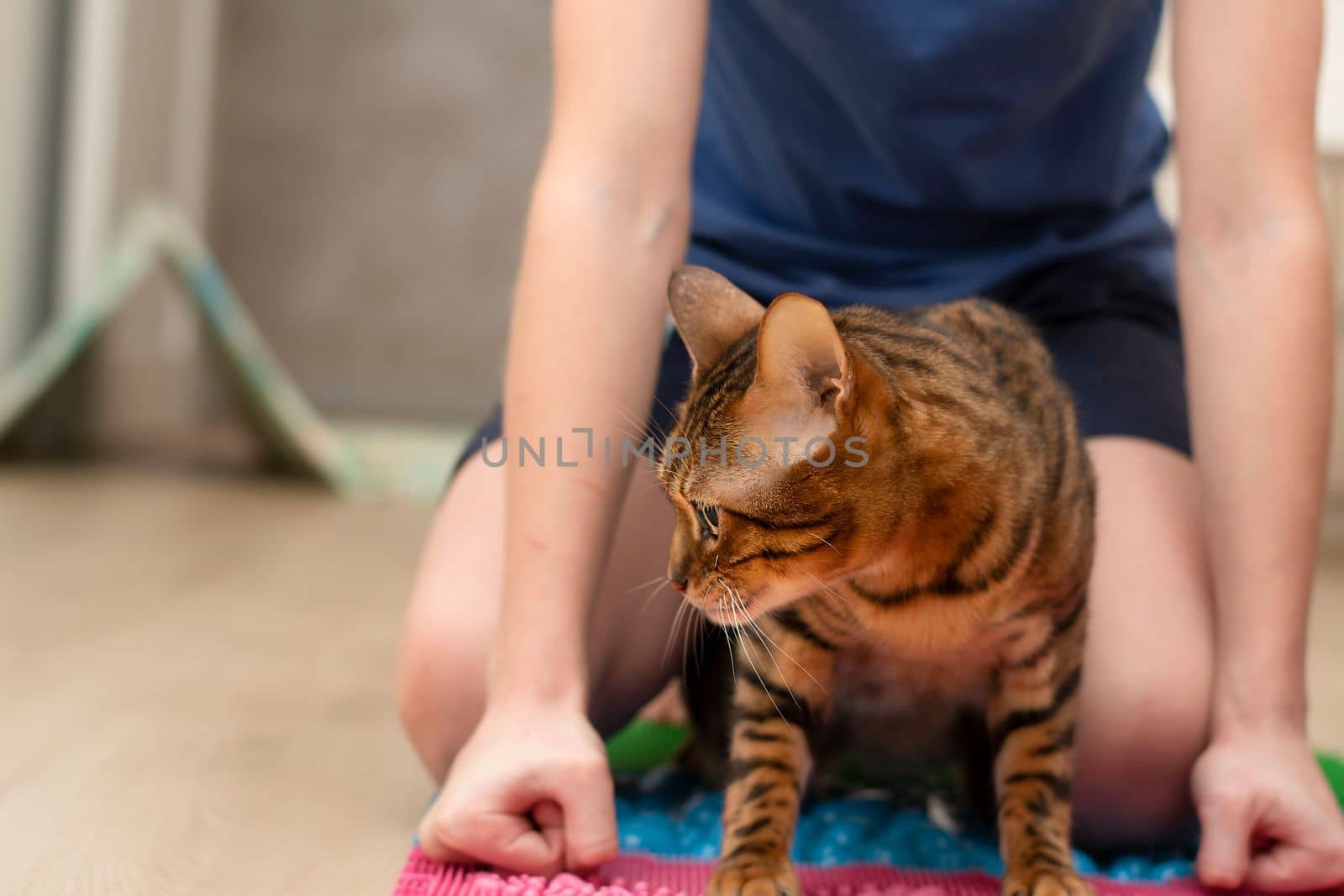 People. Health concept. A boy and a domestic bengal cat are engaged on a massage orthopedic multi-colored rug in the home interior. Treatment of flat feet. by ketlit