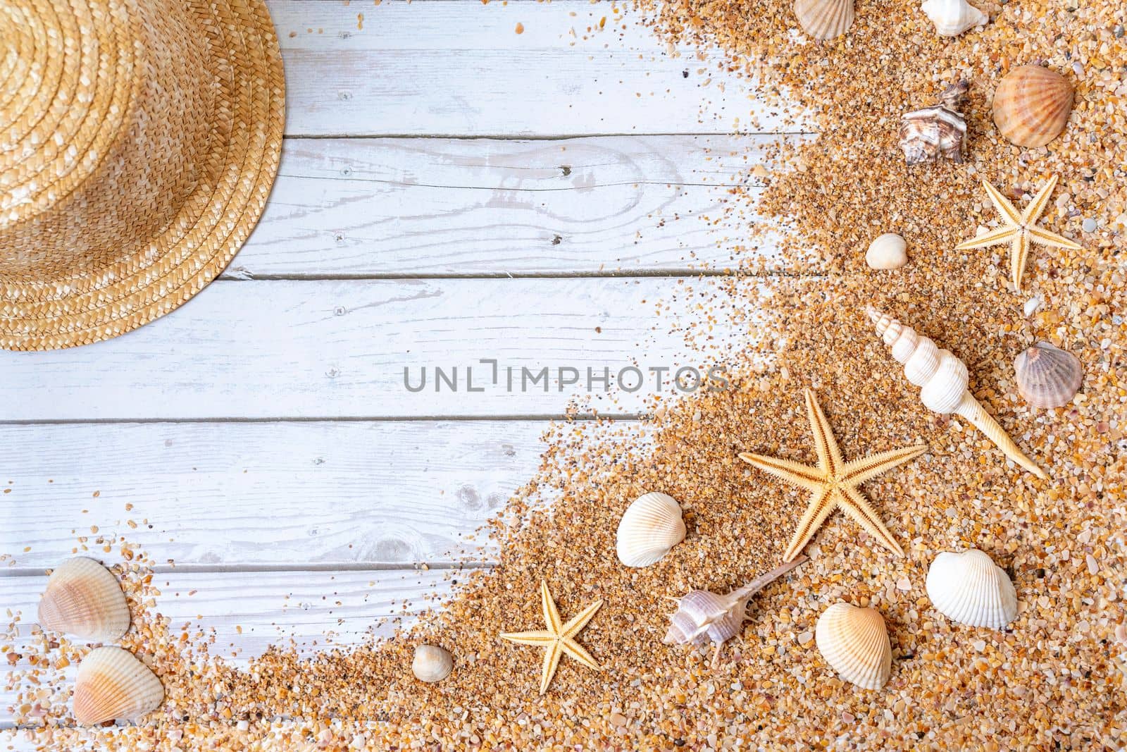 Sand seashells background. Summer time concept with sea shells and starfish on wooden background and sand by Matiunina