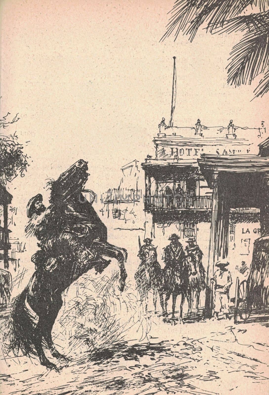Black and white illustration shows street in a South American city in the 19th century. Drawing shows a man tames a rearing horse. Vintage black and white picture shows adventure life in the previous century.