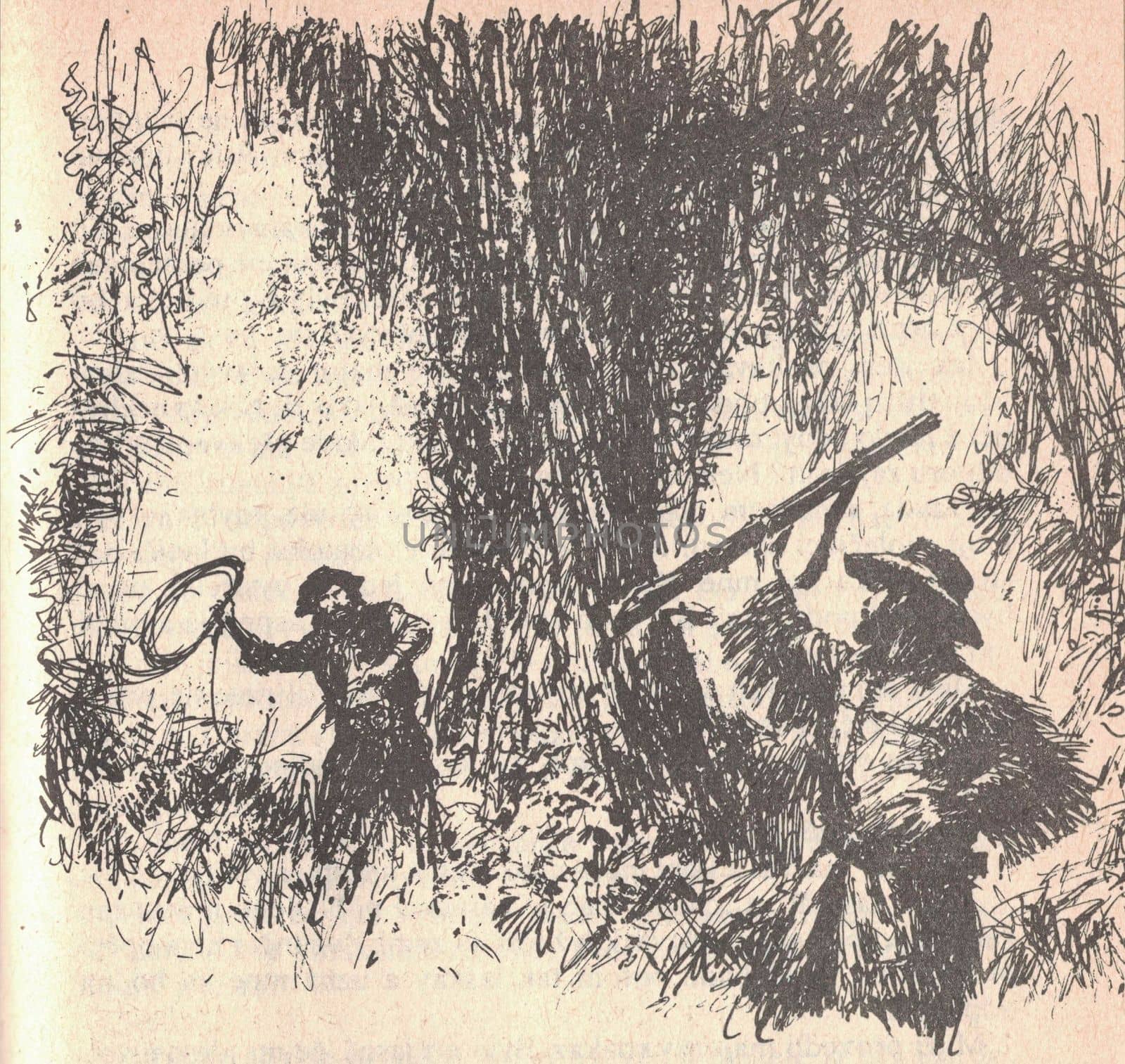 Black and white illustration shows a hunter practicing a lasso throw. Drawing shows a South American rainforest. Vintage black and white picture shows adventure life in the previous century. Life in the 19th century by roman_nerud