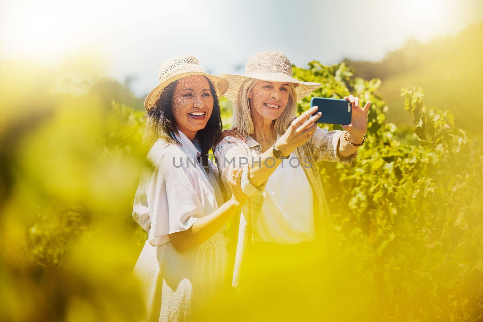 Two happy friends taking selfies on cellphone in vineyard. Smiling Caucasian and mixed race women standing together and bonding during day on wine farm while taking pictures for social media on phone.