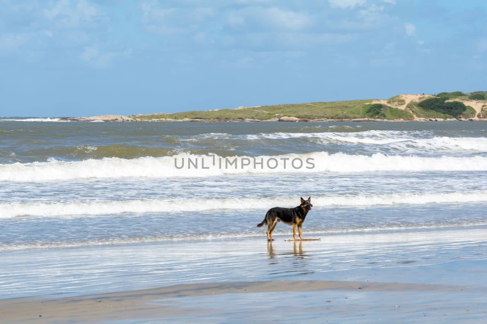 Playa Grande in Santa Teresa National Park, Rocha, Uruguay.