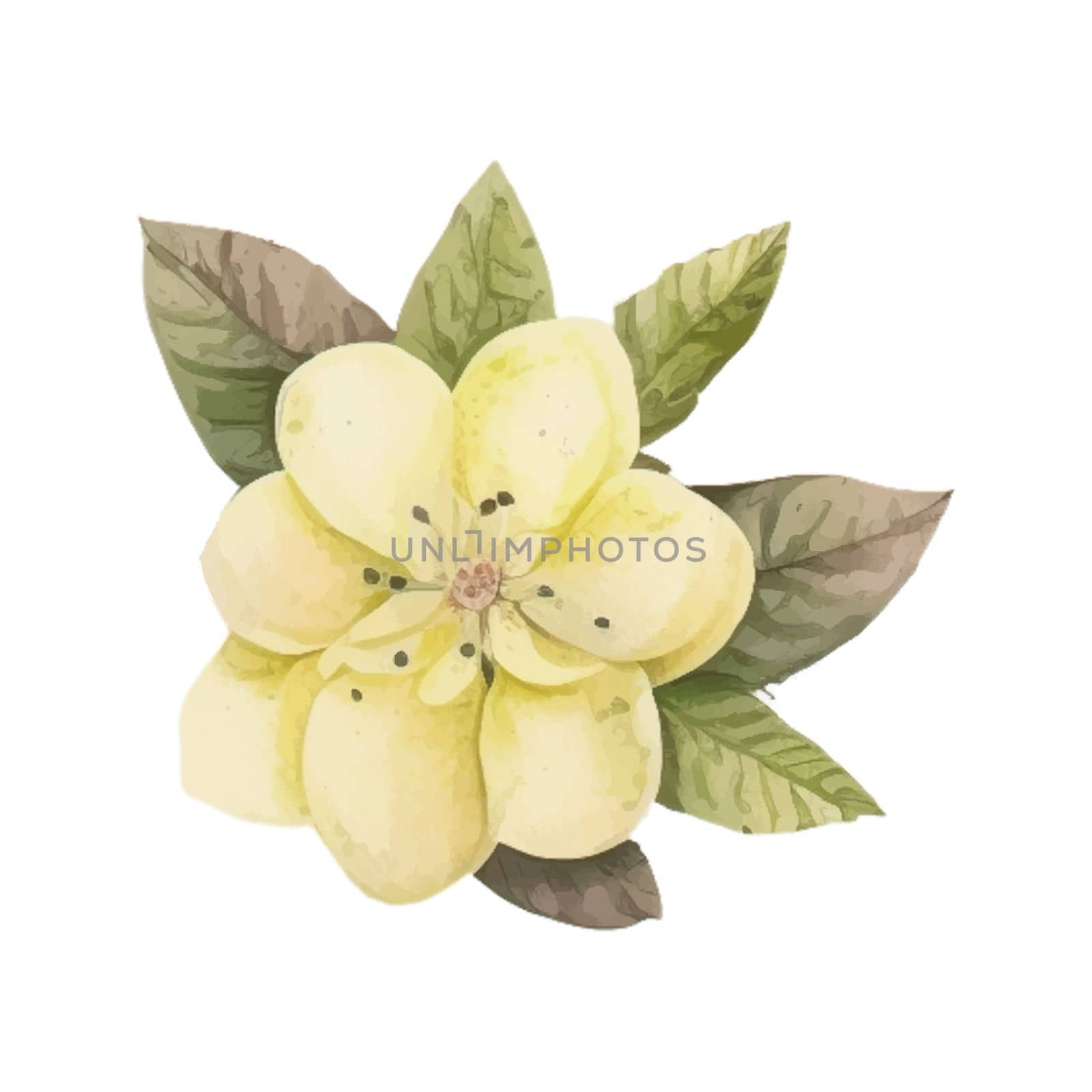 Lemon Flower Watercolor Clipart. Lemon Tea Party with tea set, pitcher, tea pot, tea cup and cold drink design elements for isolated on white background for pattern, decoration, planner sticker, sublimation and more.
