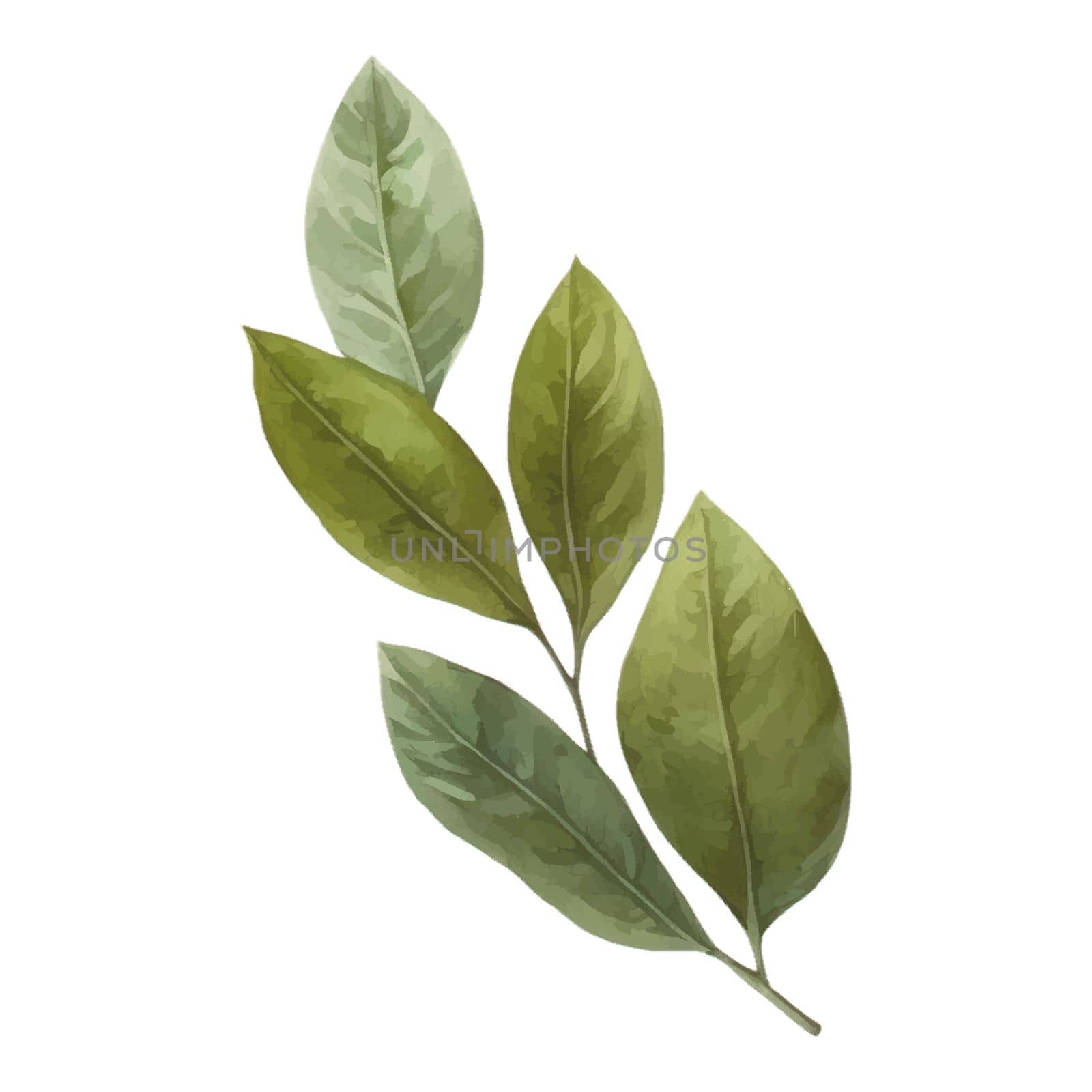 Green Leaves Watercolor Clipart. Lemon Tea Party with tea set, pitcher, tea pot, tea cup and cold drink design elements for isolated on white background for pattern, decoration, planner sticker, sublimation and more.