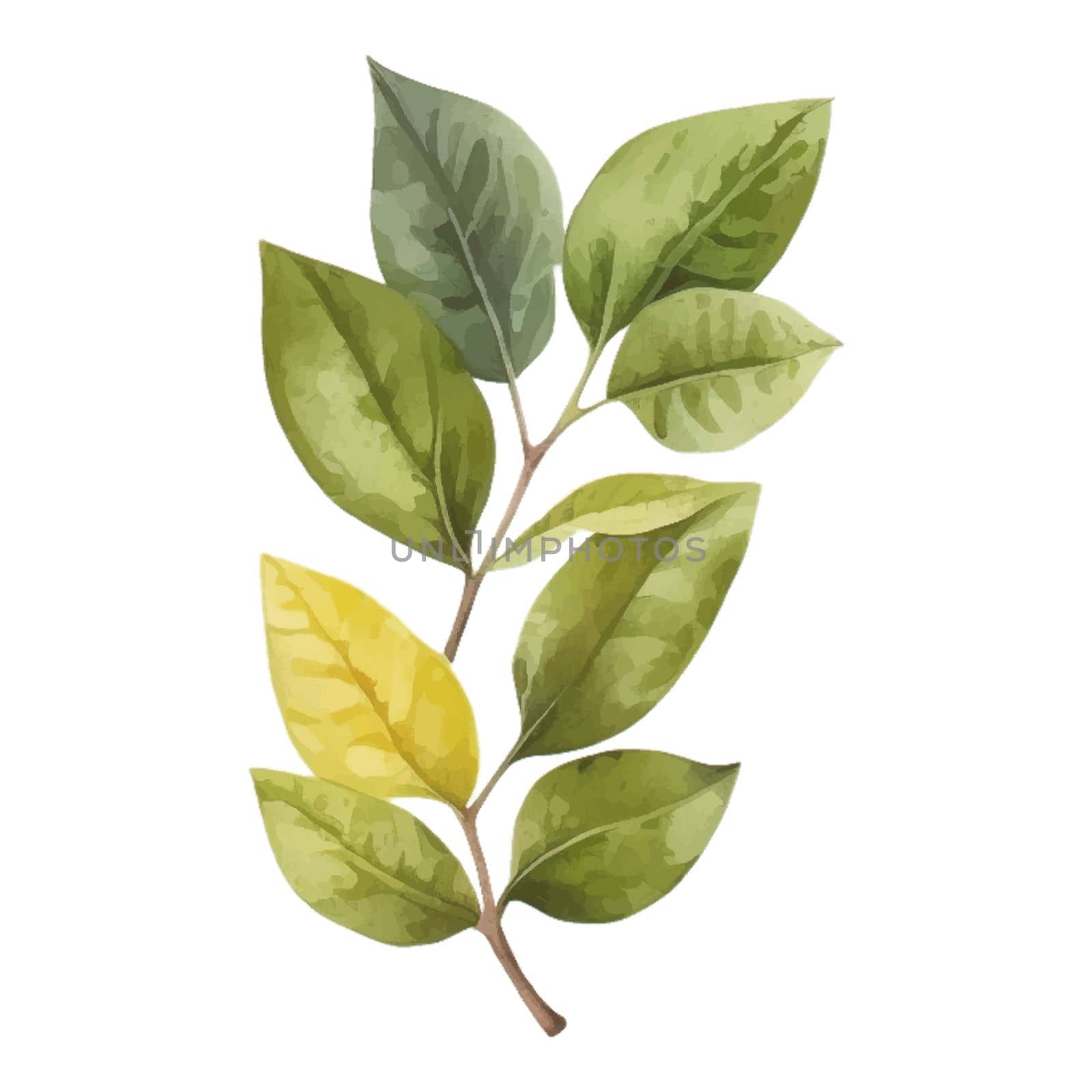 Green Leaves Watercolor Clipart. Lemon Tea Party with tea set, pitcher, tea pot, tea cup and cold drink design elements for isolated on white background for pattern, decoration, planner sticker, sublimation and more.