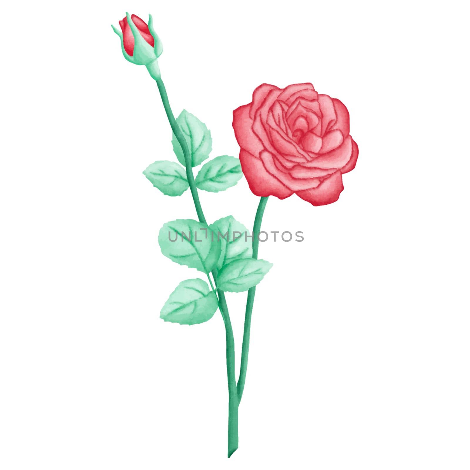 Red Roses Flowers Romantic Watercolor Clipart PNG. Paris In Love collection with lovely love roses flowers for romantic design element, love art, wedding watercolor illustration.
