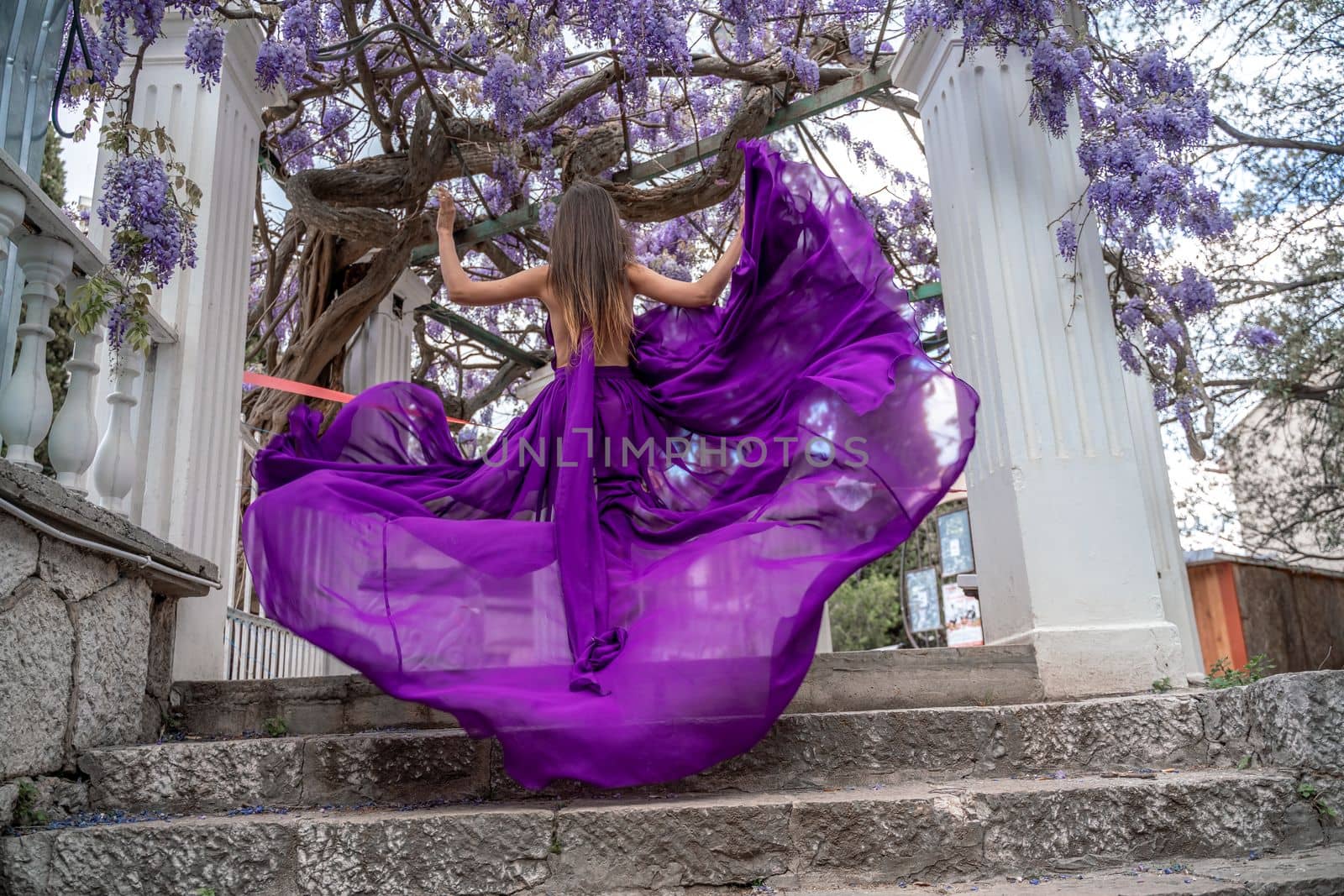 Woman wisteria purple dress. Thoughtful happy mature woman in purple dress surrounded by chinese wisteria