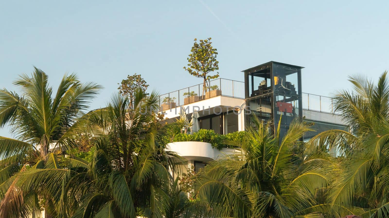 Roof terrace with plants and trees, landscaping and gardening. High quality photo