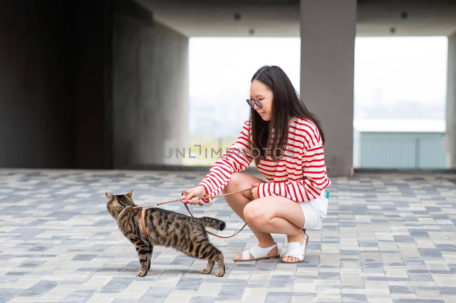 A gray striped cat pulls its owner by the leash while walking outdoors