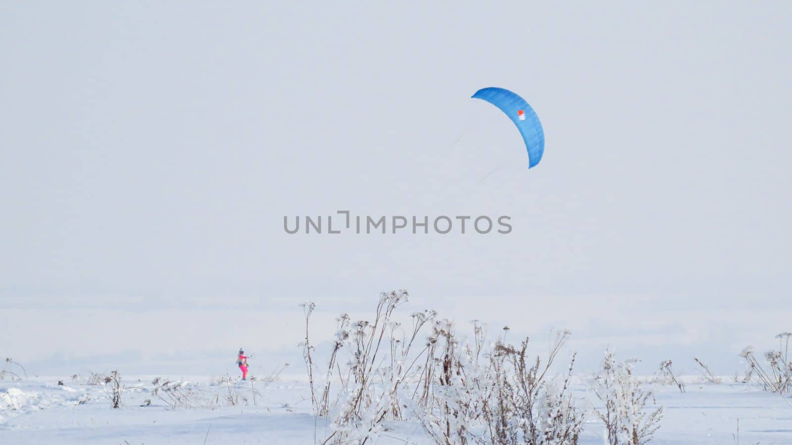 people kiting in winter in snowy terrain. snowkiting.