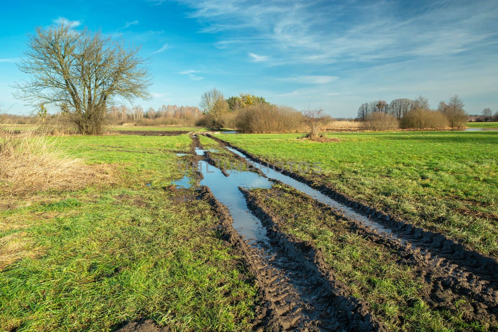Water on a muddy rural road through a green meadow, Nowiny, Lubelskie, eastern Poland