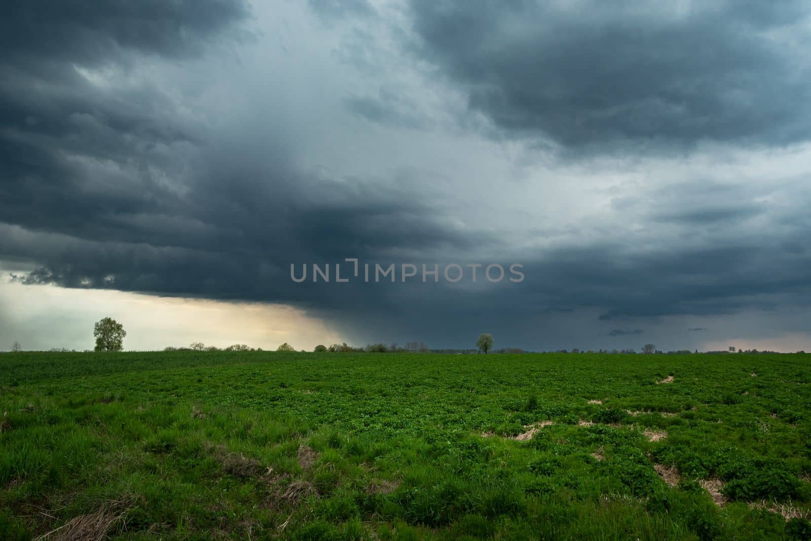 Rainy cloudy sky over green fields, Czulczyce, Lubelskie, Poland