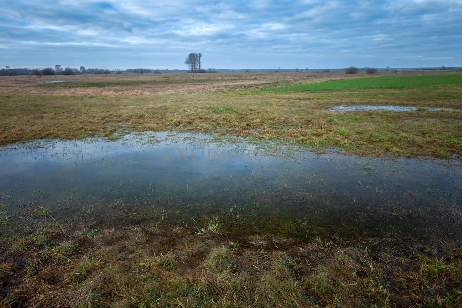 Water puddle in the meadow and cloudy sky