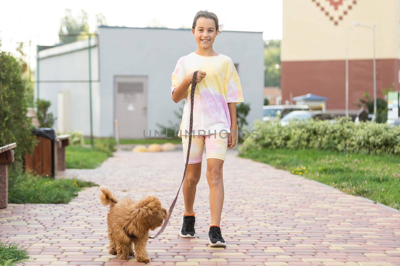 Little girl with a maltese puppy, outdoor summer