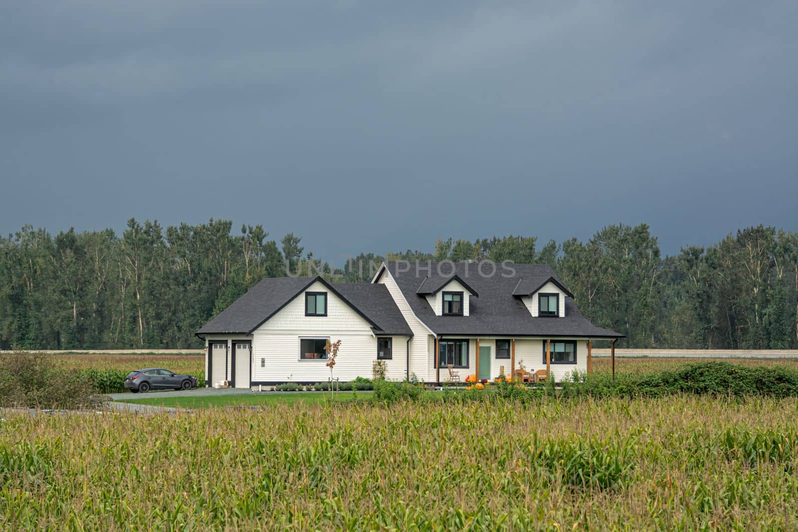 Brand new farmer's house in the middle of corn field on stormy sky background