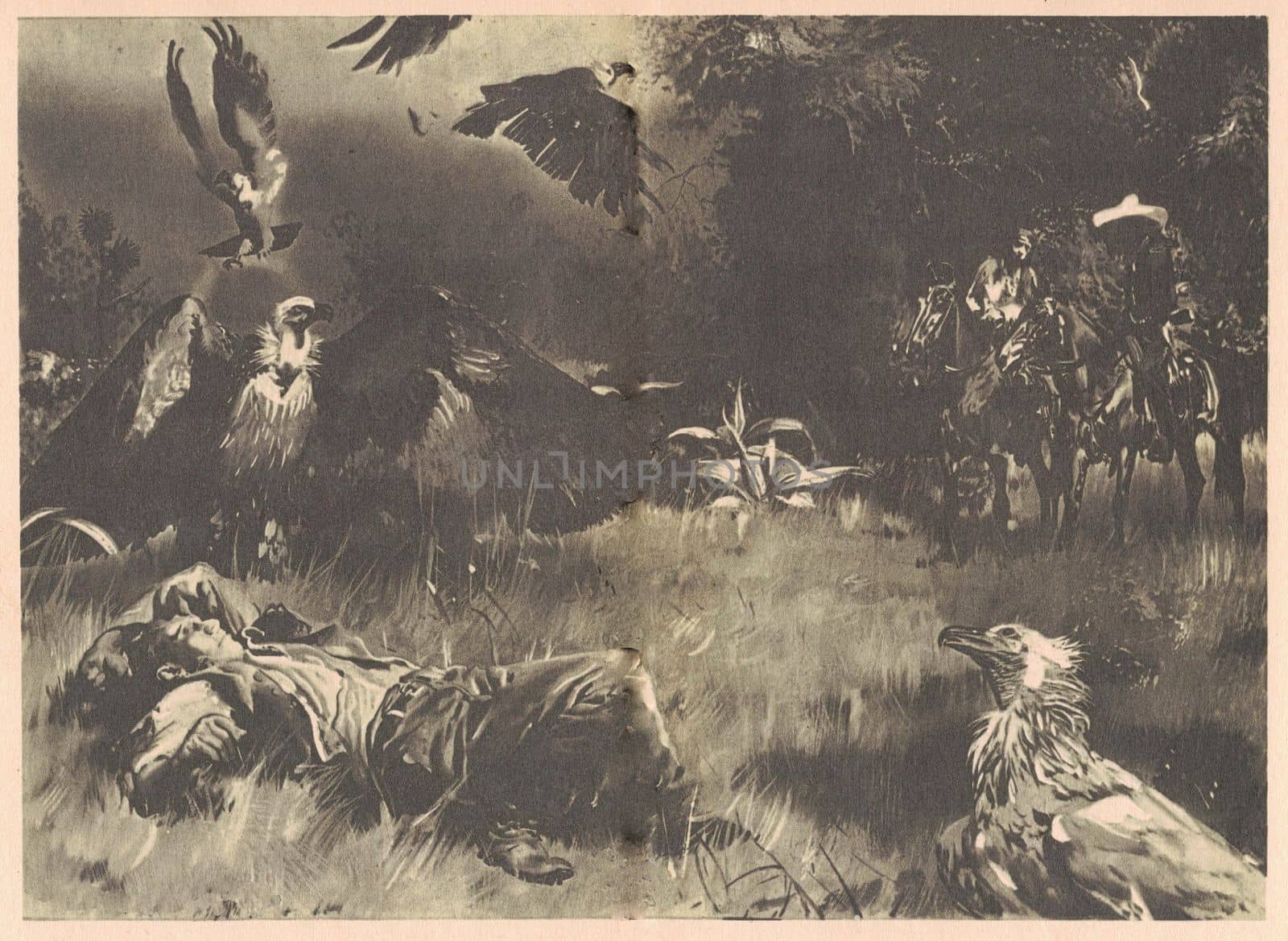 Black and white illustration shows a dead man surrounded by vultures. Drawing shows life in the Old West. Vintage black and white picture shows adventure life in the previous century.