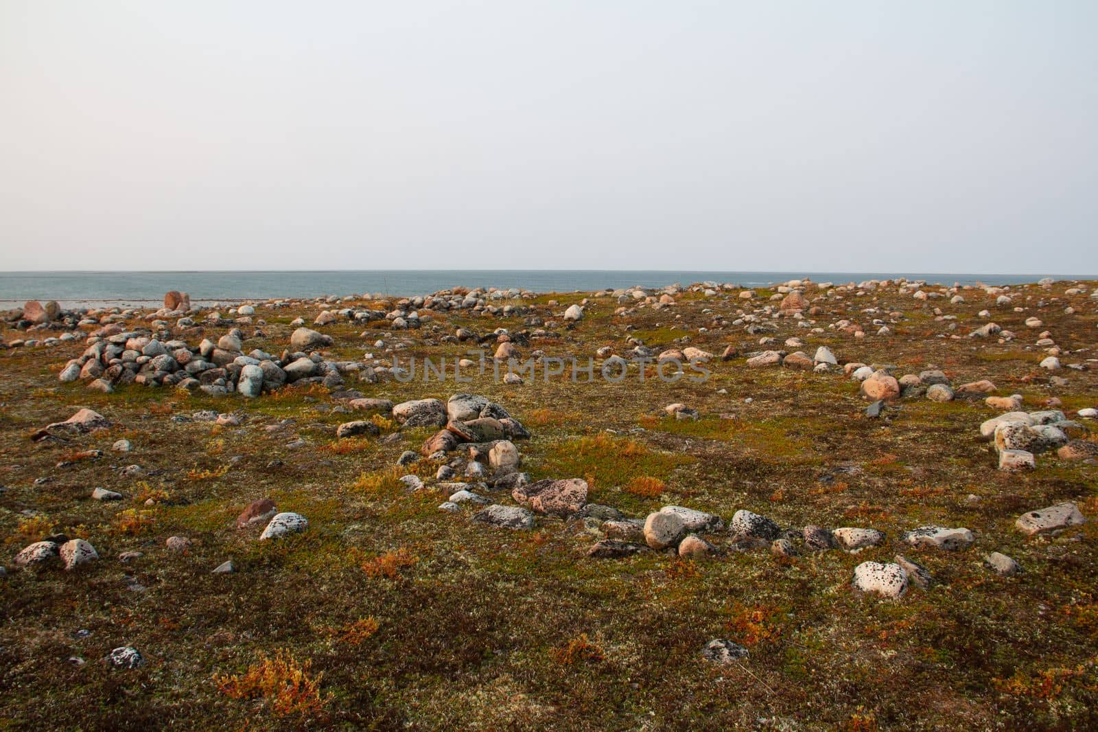 Remains of several Inuit tent rings along the coast of Hudson Bay north of Arviat at a place called Qikiqtarjuq by Granchinho