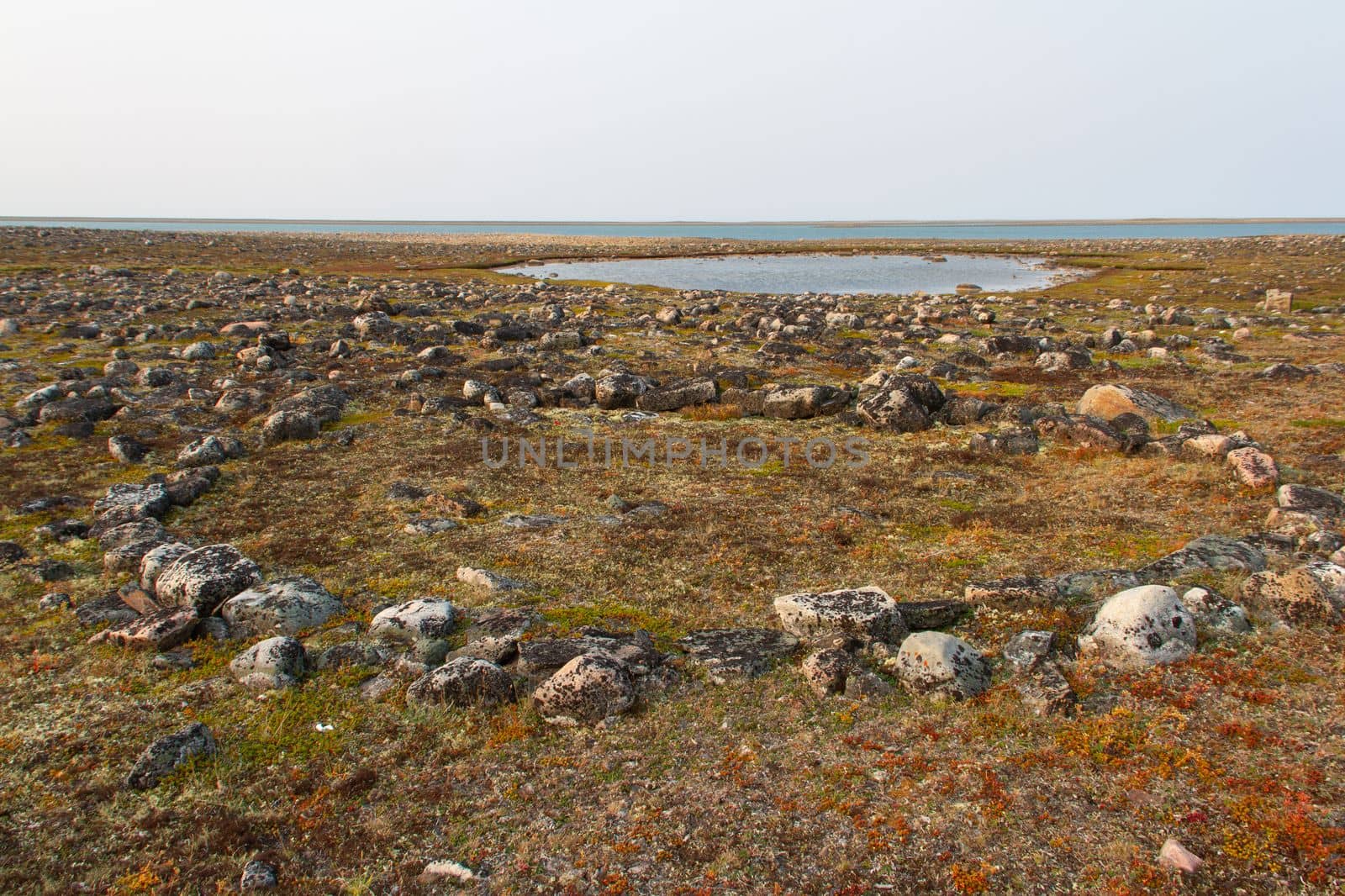 Remains of Inuit tent ring along the coast of Hudson Bay north of Arviat at a place called Qikiqtarjuq by Granchinho