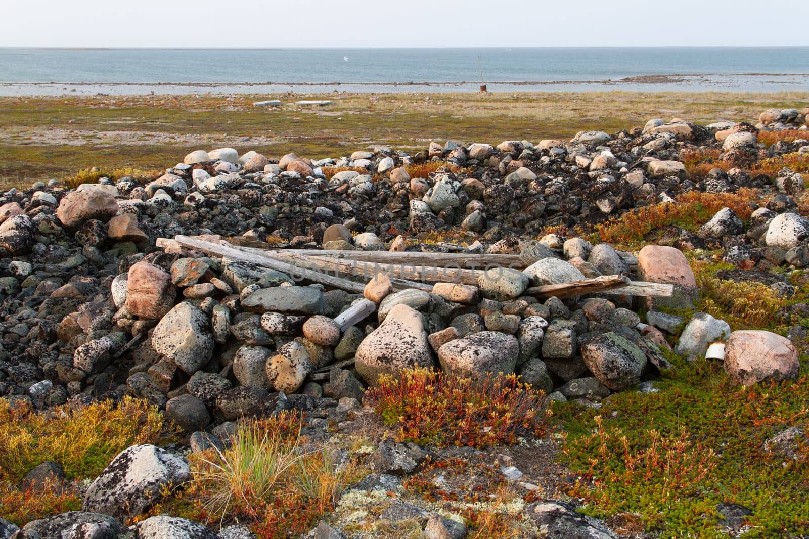 Remains of an Inuit food cache along the coast of Hudson Bay north of Arviat at a place called Qikiqtarjuq by Granchinho