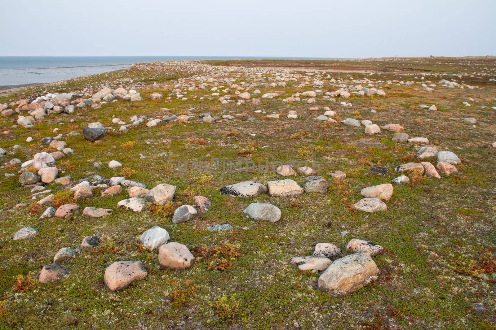 Remains of Inuit tent ring along the coast of Hudson Bay north of Arviat at a place called Qikiqtarjuq by Granchinho