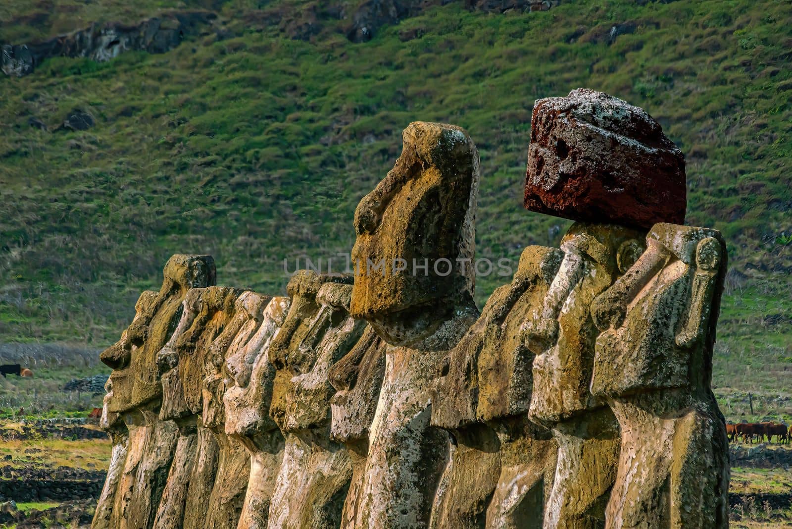 The ancient moai of Ahu Togariki, on Easter Island of Chile