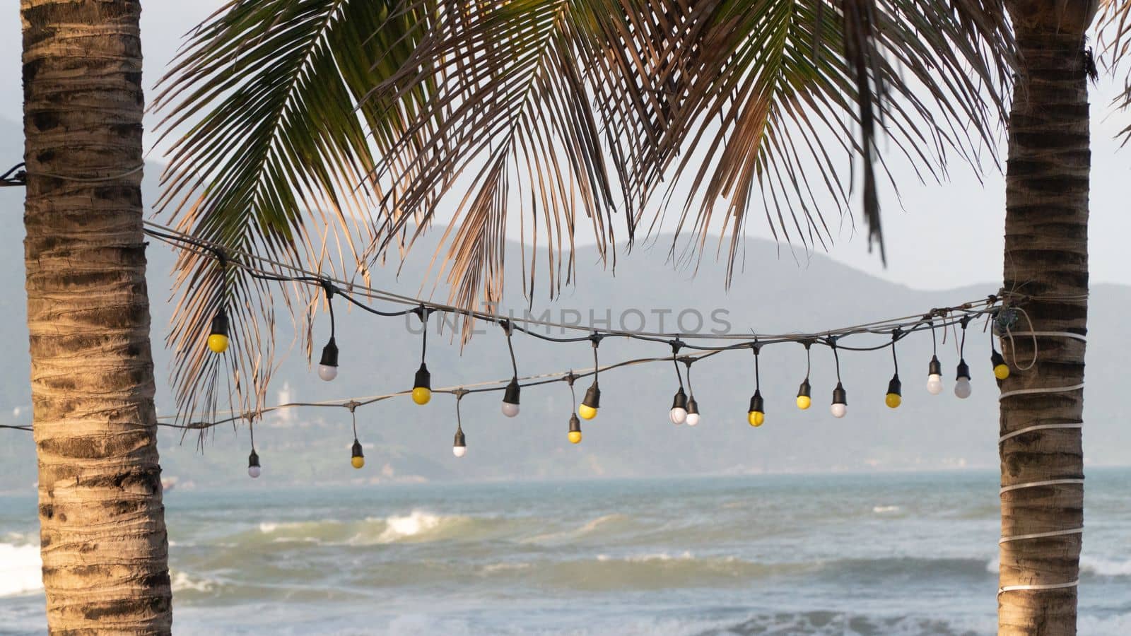 Street lamp garland between palm trees on the beach with the sea as a backdrop by voktybre