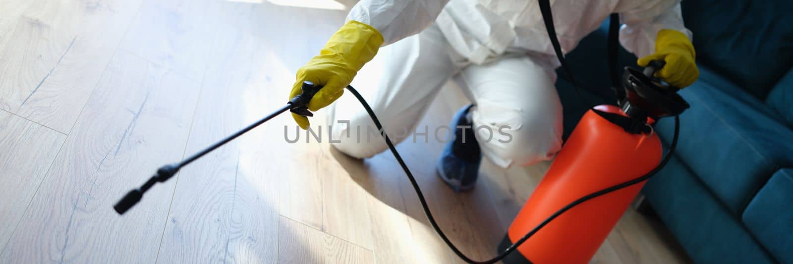 Pest and virus bacteria control contractor works in apartment. Disinfection of premises from insects and rodents with chemicals concept