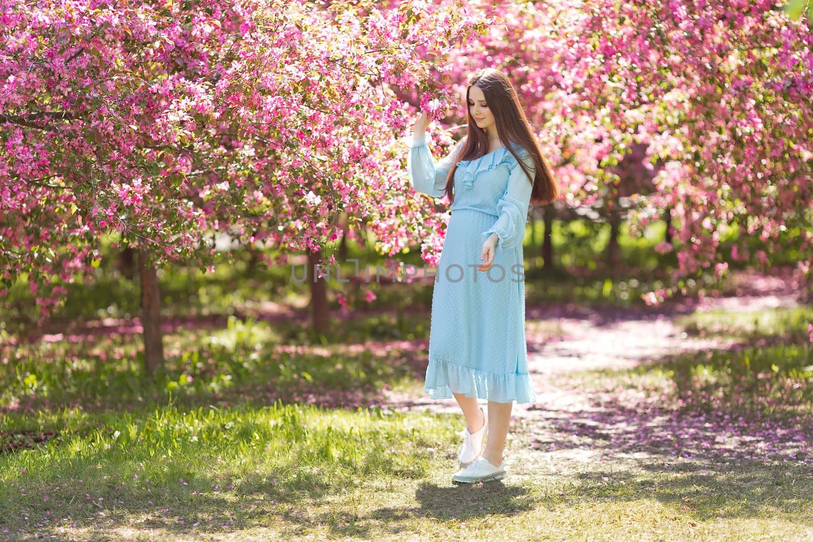 Cute brunette girl in light blue dress, with long hair is standing in a pink blooming garden, in sunny day. Copy space