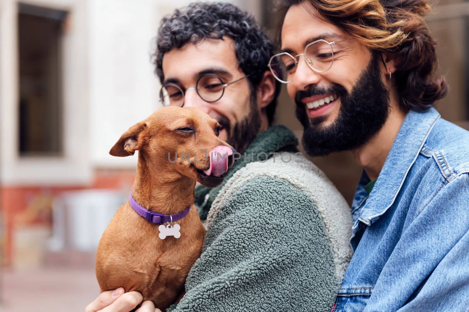 portrait of a little dog licking its nose in the arms of its owners, concept of family lifestyle with pets and love between people of the same sex