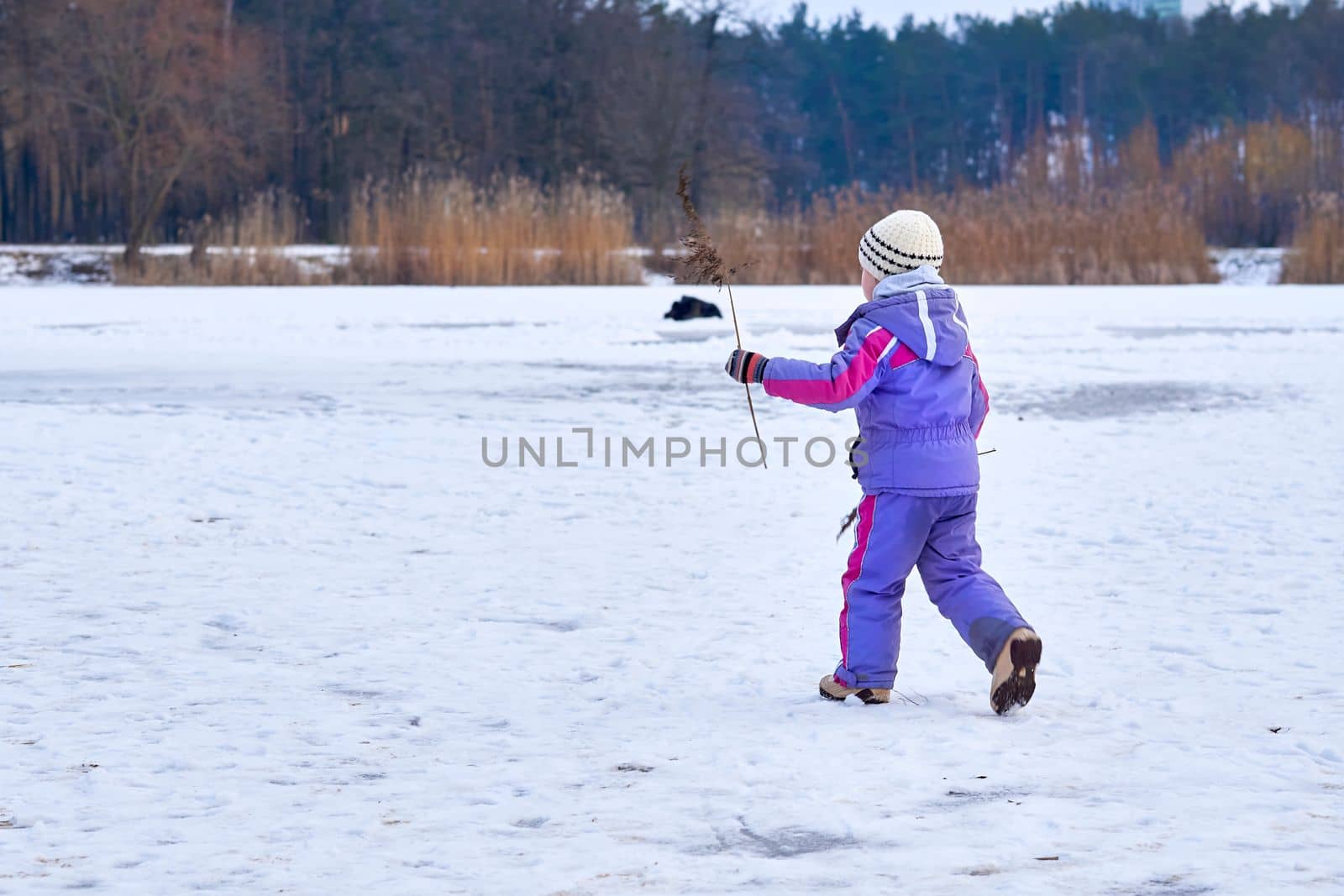 a young human being below the age of puberty or below the legal age of majority. A cute child in a lilac jumpsuit walks on the lake in a winter park.