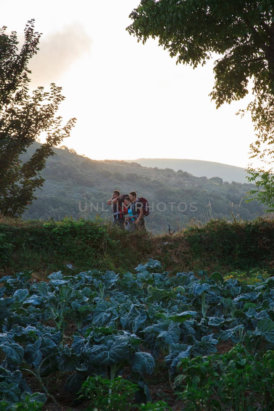 LA FABA, SPAIN - AUGUST, 09: Pilgrims next to the cultivated garden on August 09, 2016