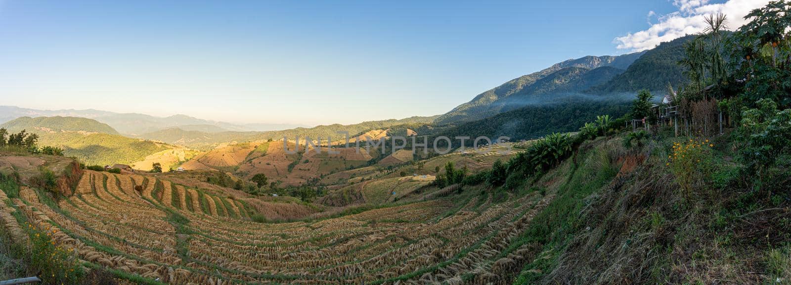 Rice field after harvest, Ban Bong Piang, Chiang Mai, Thailand