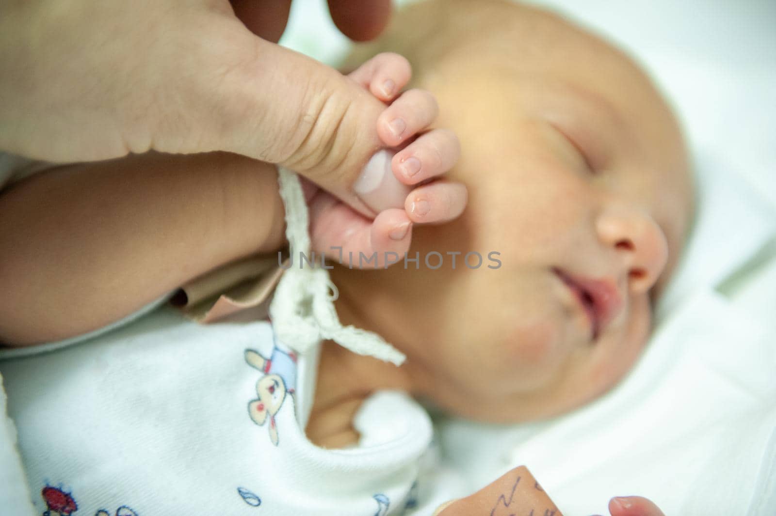 a newborn child on the first day of his birth in the maternity hospital holds his father's finger.