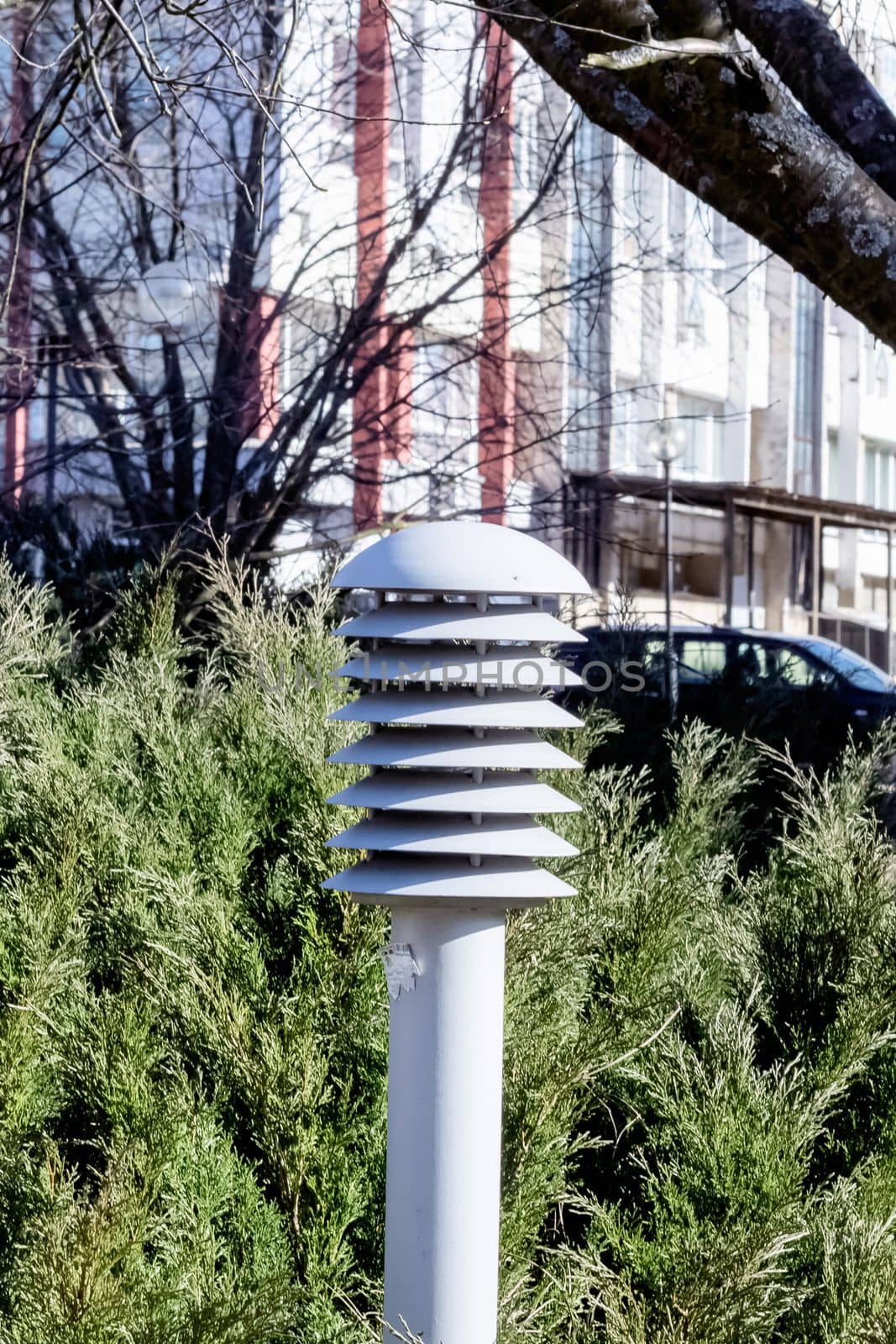 Modern street lamp on the background of thuja bushes close up