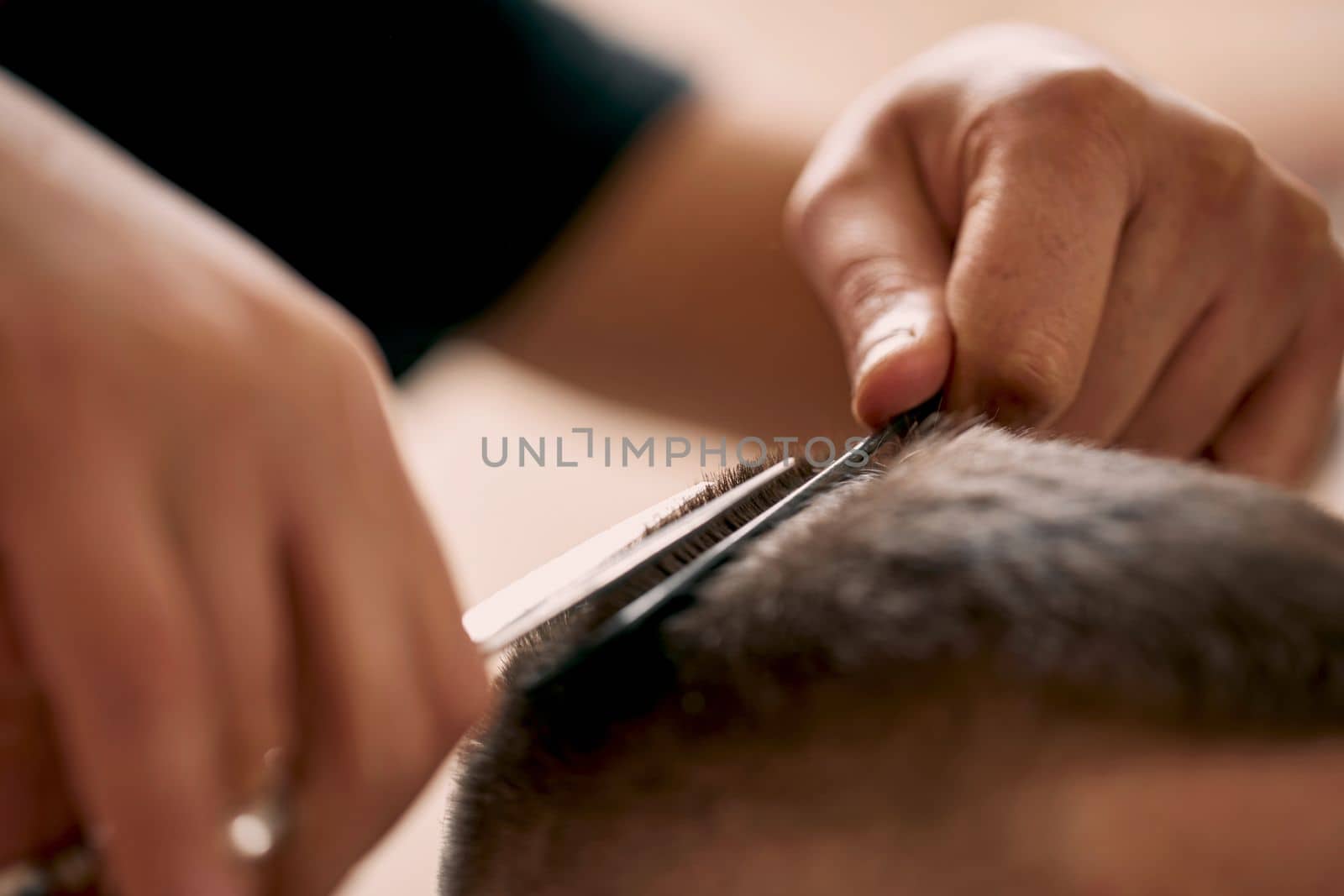 master hairdresser does hairstyle with scissors and comb. close-up