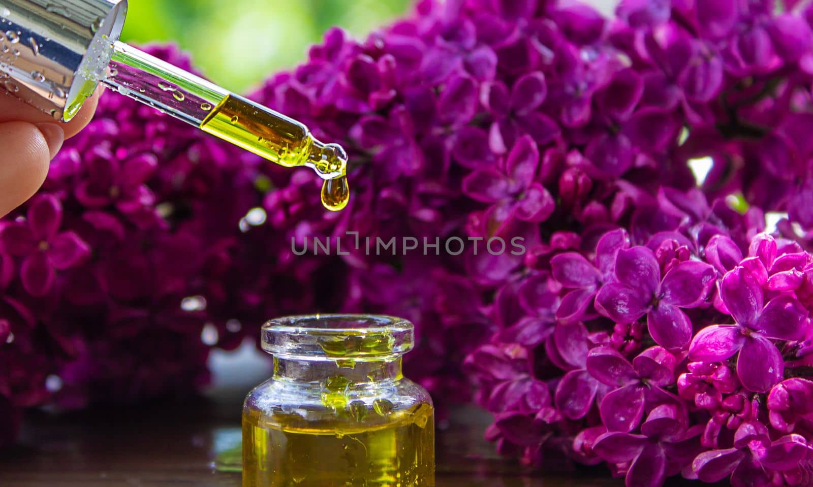 Syringa lilac, essential oil. bottle of beauty oil with lilac flowers. selective focus