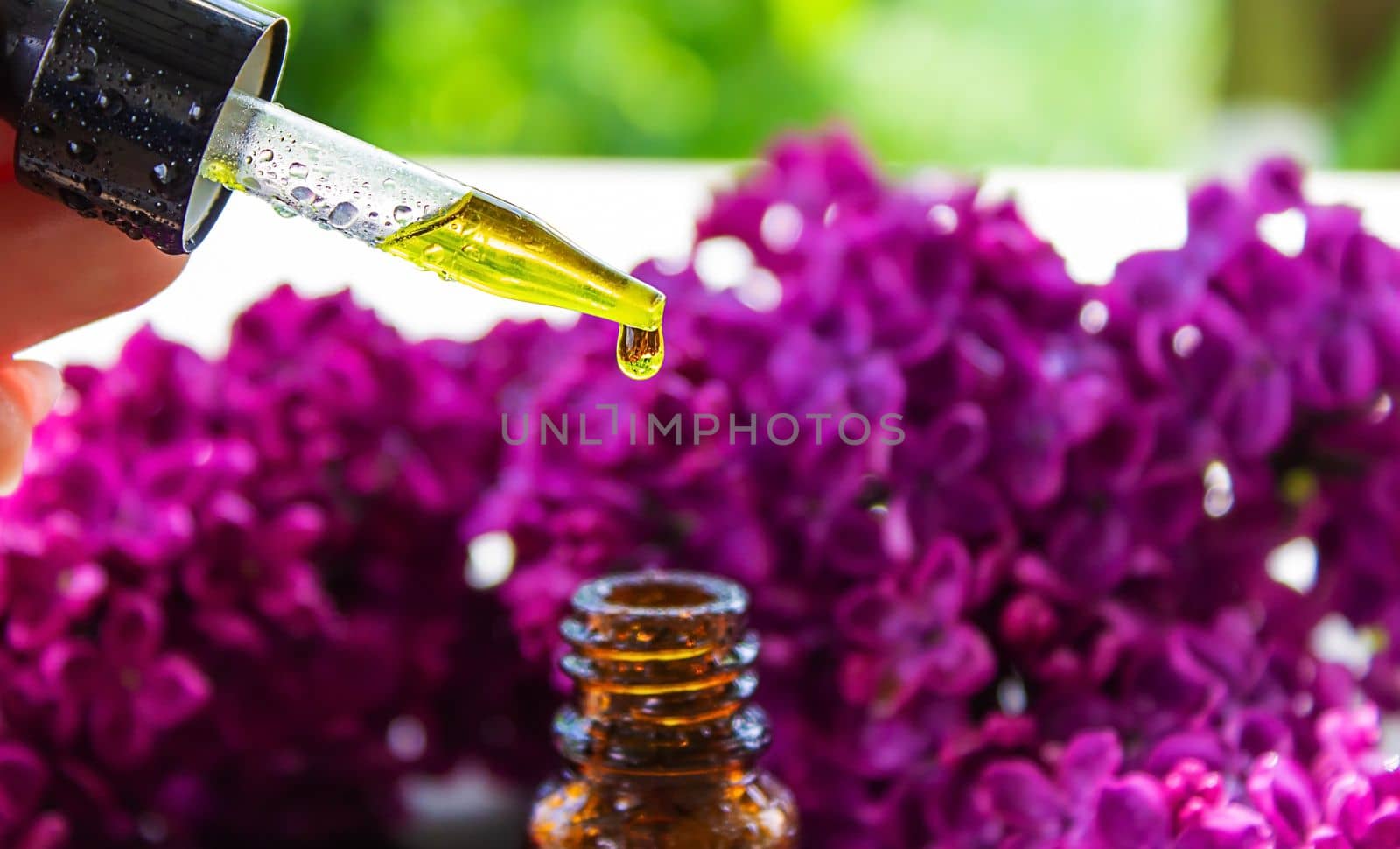 Syringa lilac, essential oil. bottle of beauty oil with lilac flowers. selective focus