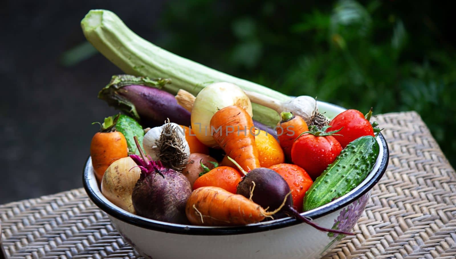 fresh picked vegetables in a bowl in the garden. Selective focus