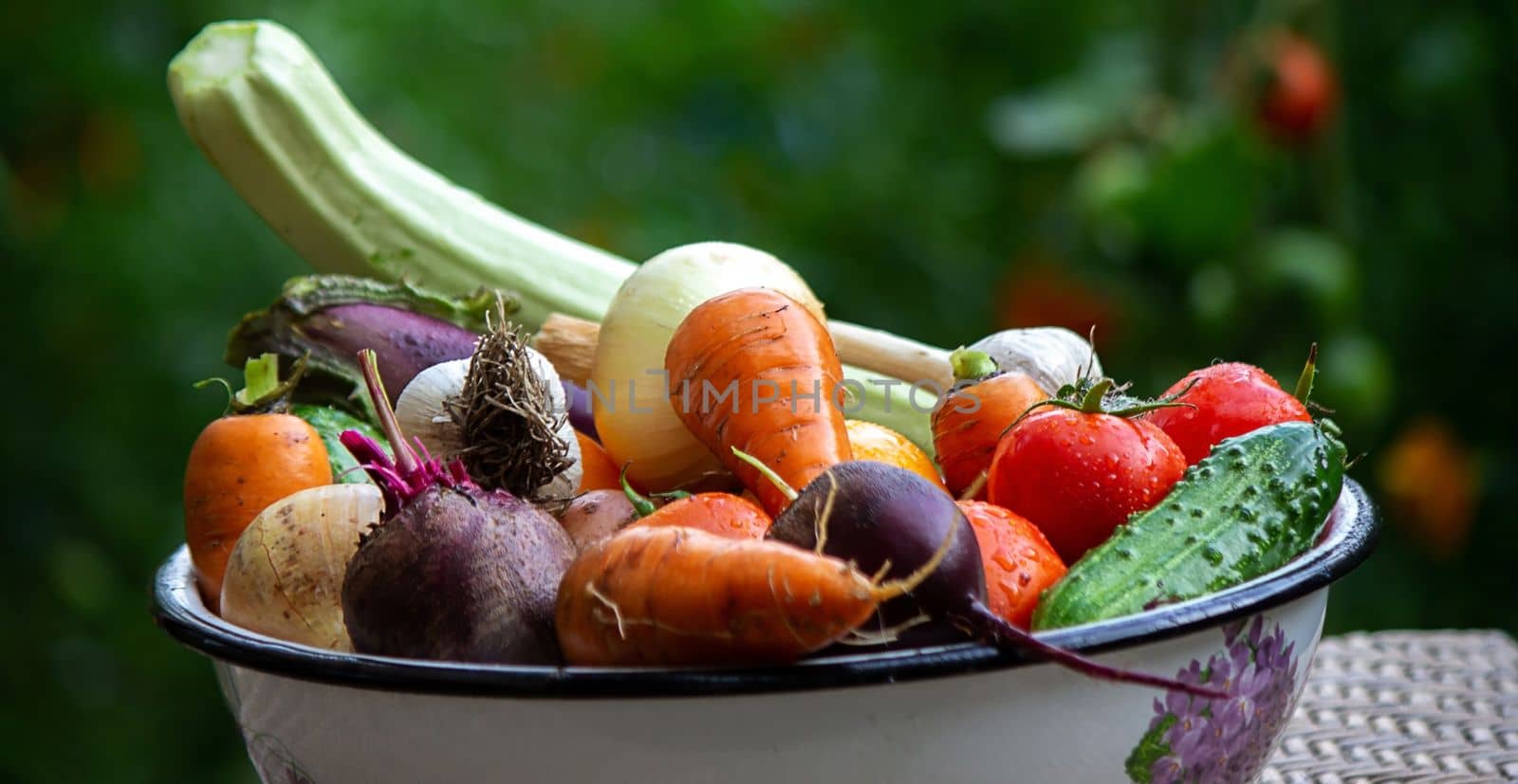 fresh picked vegetables in a bowl in the garden. Selective focus