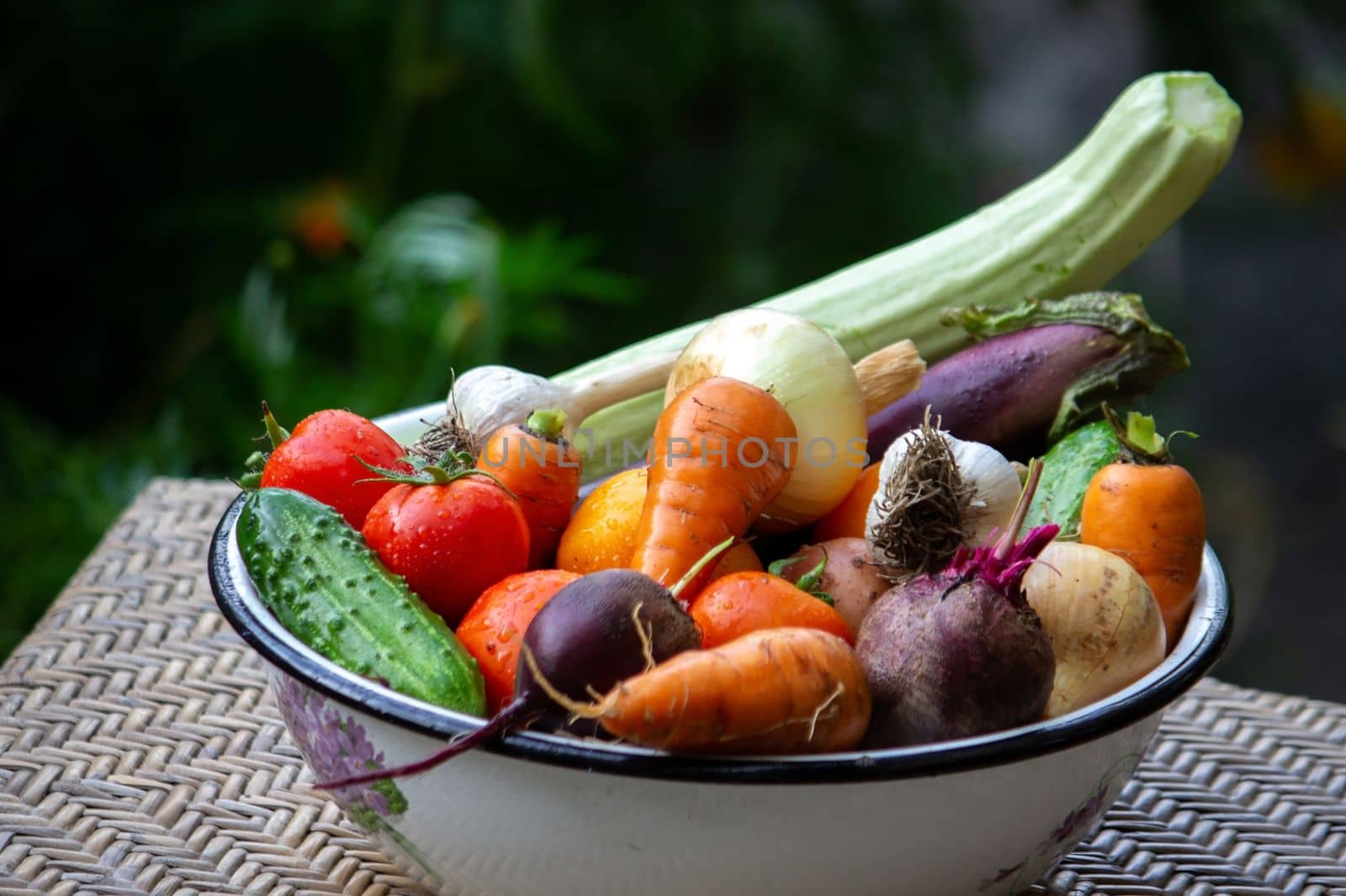 fresh picked vegetables in a bowl in the garden. Selective focus