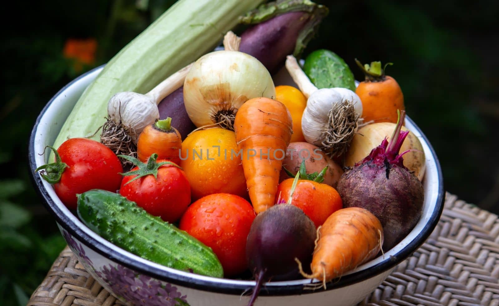 fresh picked vegetables in a bowl in the garden. by Anuta23