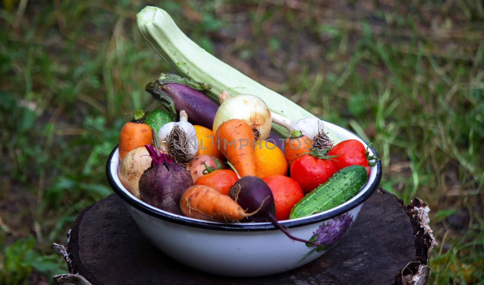 fresh picked vegetables in a bowl in the garden. by Anuta23