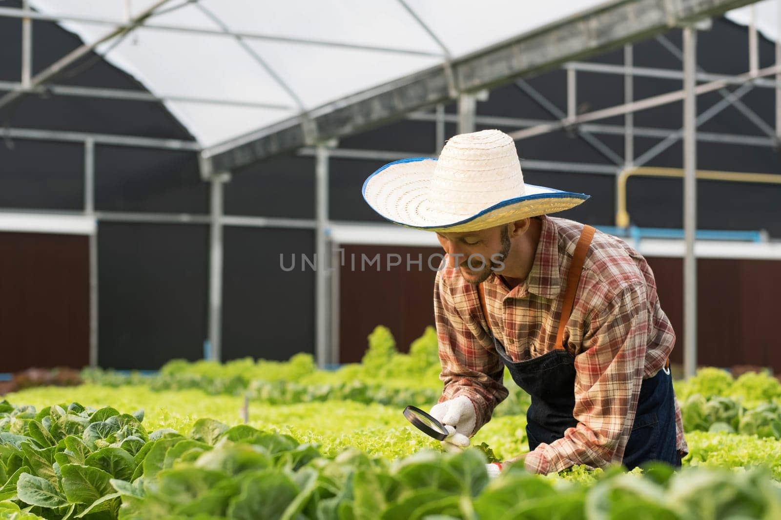 Farmer checking quality by tablet agriculture modern technology. Concept using modern technologies in agriculture. by wichayada
